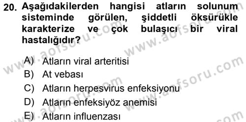 Viroloji Dersi 2015 - 2016 Yılı (Final) Dönem Sonu Sınav Soruları 20. Soru
