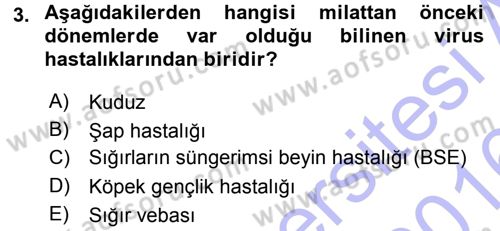 Viroloji Dersi 2015 - 2016 Yılı (Final) Dönem Sonu Sınav Soruları 3. Soru