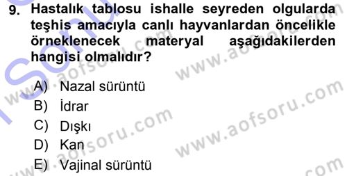 Viroloji Dersi 2015 - 2016 Yılı (Final) Dönem Sonu Sınav Soruları 9. Soru