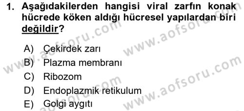 Viroloji Dersi 2016 - 2017 Yılı 3 Ders Sınav Soruları 1. Soru