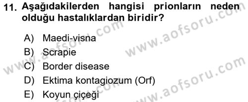 Viroloji Dersi 2016 - 2017 Yılı 3 Ders Sınav Soruları 11. Soru