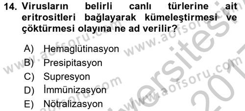 Viroloji Dersi 2016 - 2017 Yılı 3 Ders Sınav Soruları 14. Soru