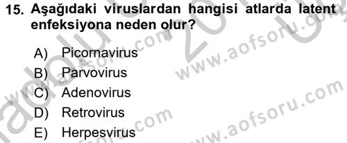 Viroloji Dersi 2016 - 2017 Yılı 3 Ders Sınav Soruları 15. Soru