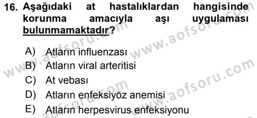 Viroloji Dersi 2016 - 2017 Yılı 3 Ders Sınav Soruları 16. Soru