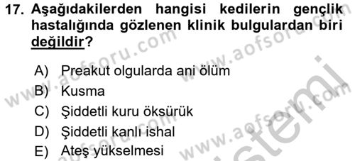 Viroloji Dersi 2016 - 2017 Yılı 3 Ders Sınav Soruları 17. Soru