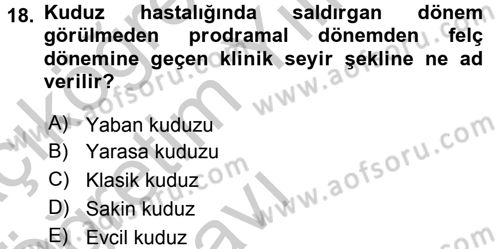 Viroloji Dersi 2016 - 2017 Yılı 3 Ders Sınav Soruları 18. Soru