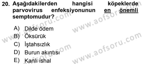 Viroloji Dersi 2016 - 2017 Yılı 3 Ders Sınav Soruları 20. Soru