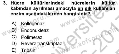 Viroloji Dersi 2016 - 2017 Yılı 3 Ders Sınav Soruları 3. Soru