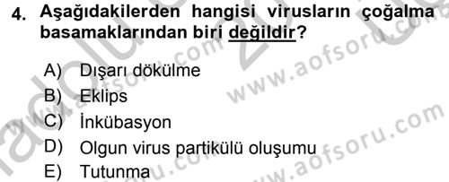 Viroloji Dersi 2016 - 2017 Yılı 3 Ders Sınav Soruları 4. Soru