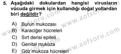 Viroloji Dersi 2016 - 2017 Yılı 3 Ders Sınav Soruları 5. Soru