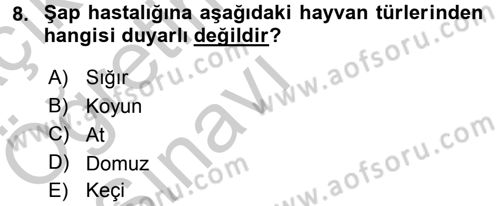 Viroloji Dersi 2016 - 2017 Yılı 3 Ders Sınav Soruları 8. Soru