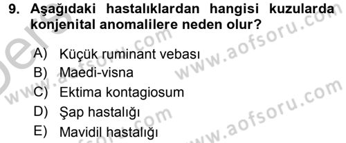 Viroloji Dersi 2016 - 2017 Yılı 3 Ders Sınav Soruları 9. Soru