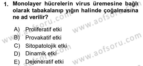 Viroloji Dersi Ara Sınavı Deneme Sınav Soruları 1. Soru
