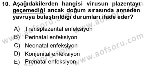 Viroloji Dersi Ara Sınavı Deneme Sınav Soruları 10. Soru