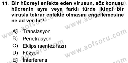 Viroloji Dersi Ara Sınavı Deneme Sınav Soruları 11. Soru