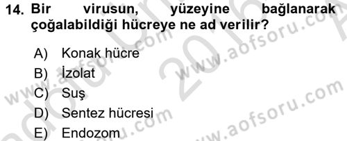 Viroloji Dersi Ara Sınavı Deneme Sınav Soruları 14. Soru