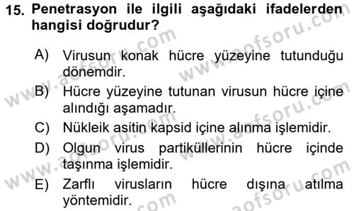 Viroloji Dersi Ara Sınavı Deneme Sınav Soruları 15. Soru