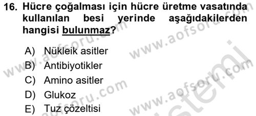 Viroloji Dersi Ara Sınavı Deneme Sınav Soruları 16. Soru