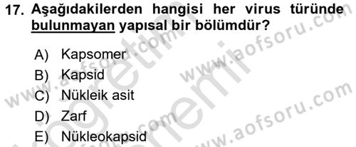 Viroloji Dersi Ara Sınavı Deneme Sınav Soruları 17. Soru