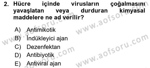 Viroloji Dersi 2016 - 2017 Yılı (Vize) Ara Sınav Soruları 2. Soru