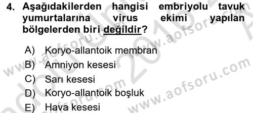 Viroloji Dersi Ara Sınavı Deneme Sınav Soruları 4. Soru