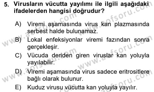 Viroloji Dersi 2016 - 2017 Yılı (Vize) Ara Sınav Soruları 5. Soru