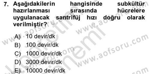 Viroloji Dersi Ara Sınavı Deneme Sınav Soruları 7. Soru