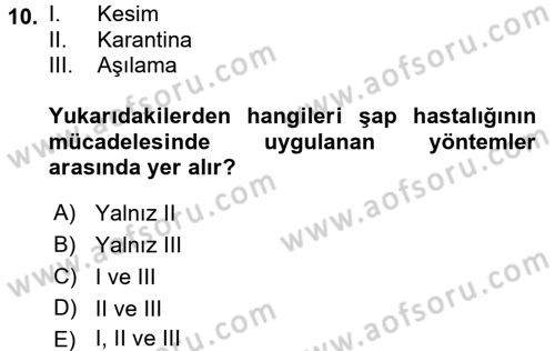 Viroloji Dersi 2016 - 2017 Yılı (Final) Dönem Sonu Sınav Soruları 10. Soru