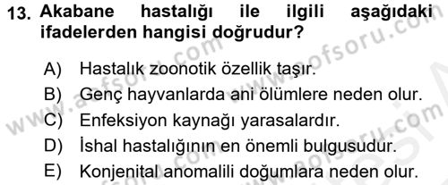 Viroloji Dersi 2016 - 2017 Yılı (Final) Dönem Sonu Sınav Soruları 13. Soru