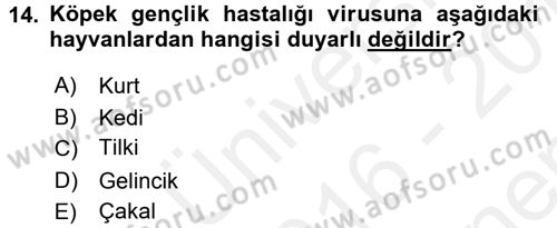 Viroloji Dersi 2016 - 2017 Yılı (Final) Dönem Sonu Sınav Soruları 14. Soru