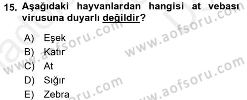 Viroloji Dersi 2016 - 2017 Yılı (Final) Dönem Sonu Sınav Soruları 15. Soru