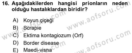 Viroloji Dersi 2016 - 2017 Yılı (Final) Dönem Sonu Sınav Soruları 16. Soru