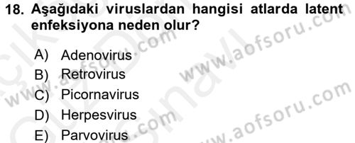 Viroloji Dersi 2016 - 2017 Yılı (Final) Dönem Sonu Sınav Soruları 18. Soru