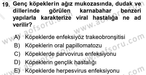 Viroloji Dersi 2016 - 2017 Yılı (Final) Dönem Sonu Sınav Soruları 19. Soru