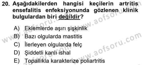 Viroloji Dersi 2016 - 2017 Yılı (Final) Dönem Sonu Sınav Soruları 20. Soru