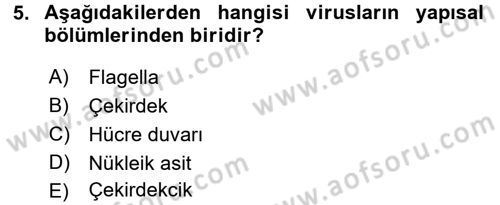 Viroloji Dersi 2016 - 2017 Yılı (Final) Dönem Sonu Sınav Soruları 5. Soru