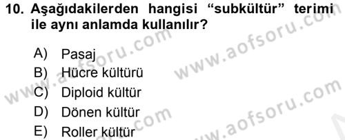 Viroloji Dersi 2017 - 2018 Yılı 3 Ders Sınav Soruları 10. Soru