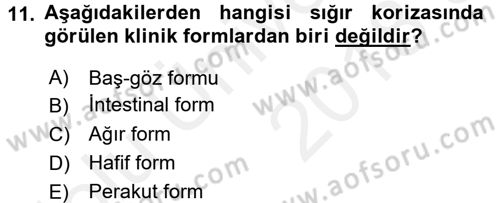 Viroloji Dersi 2017 - 2018 Yılı 3 Ders Sınav Soruları 11. Soru