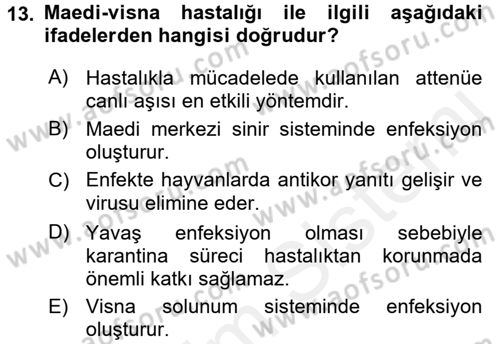 Viroloji Dersi 2017 - 2018 Yılı 3 Ders Sınav Soruları 13. Soru