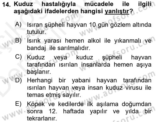 Viroloji Dersi 2017 - 2018 Yılı 3 Ders Sınav Soruları 14. Soru