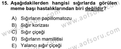 Viroloji Dersi 2017 - 2018 Yılı 3 Ders Sınav Soruları 15. Soru