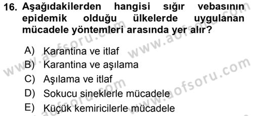Viroloji Dersi 2017 - 2018 Yılı 3 Ders Sınav Soruları 16. Soru
