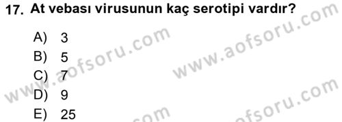 Viroloji Dersi 2017 - 2018 Yılı 3 Ders Sınav Soruları 17. Soru