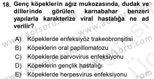 Viroloji Dersi 2017 - 2018 Yılı 3 Ders Sınav Soruları 18. Soru