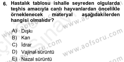 Viroloji Dersi 2017 - 2018 Yılı 3 Ders Sınav Soruları 6. Soru