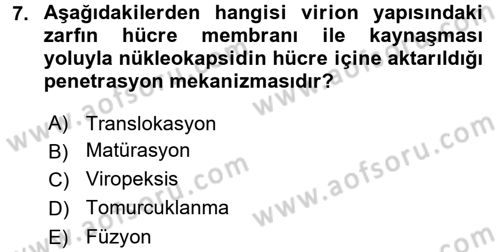 Viroloji Dersi 2017 - 2018 Yılı 3 Ders Sınav Soruları 7. Soru