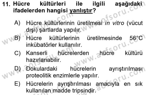 Viroloji Dersi Ara Sınavı Deneme Sınav Soruları 11. Soru