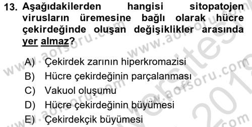 Viroloji Dersi 2017 - 2018 Yılı (Vize) Ara Sınav Soruları 13. Soru