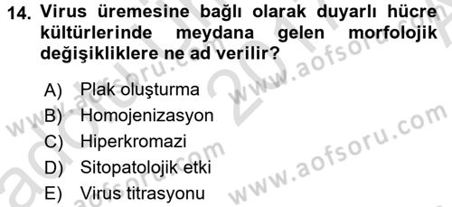 Viroloji Dersi Ara Sınavı Deneme Sınav Soruları 14. Soru