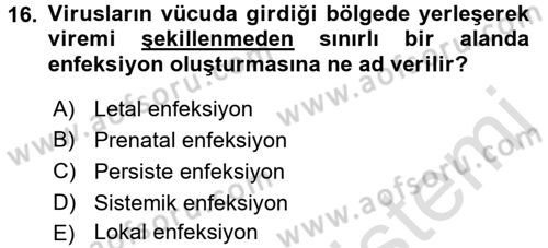 Viroloji Dersi Ara Sınavı Deneme Sınav Soruları 16. Soru